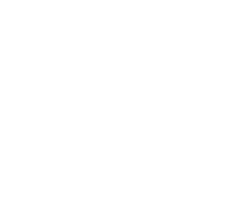 Logo du Tournoi Le Lion