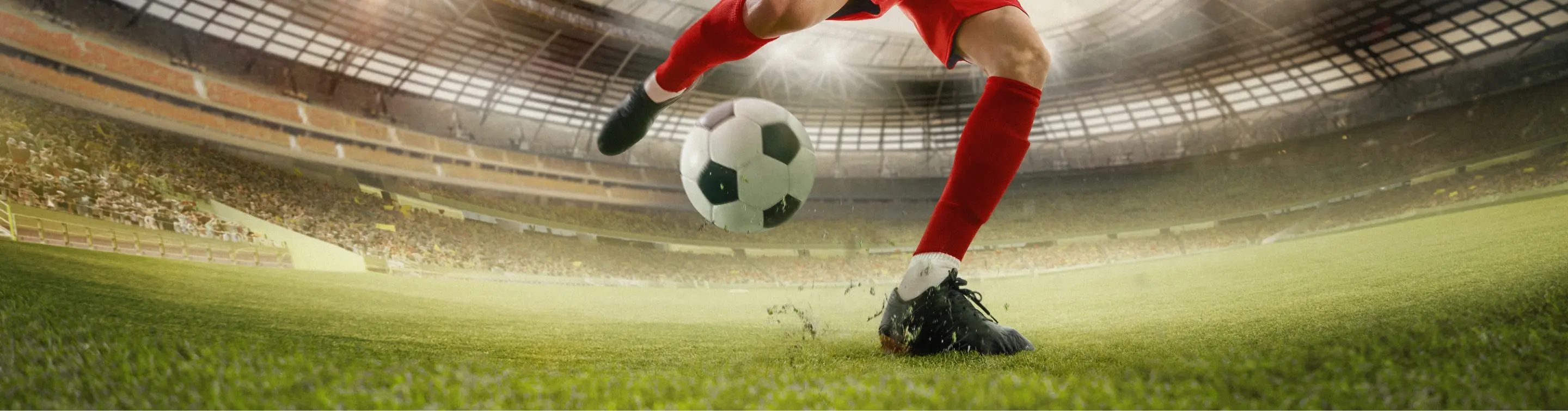 Phases du tournoi